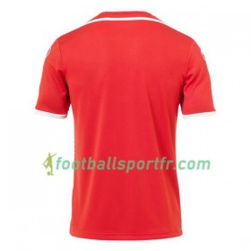 Tenue Tunisie Exterieur Coupe du monde 2018 Maillot de Foot